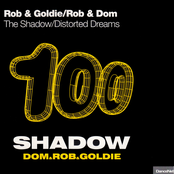 The Shadow / Distorted Dreams