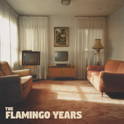 The Flamingo Years