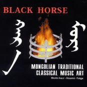 black horse