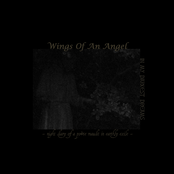 In My Darkest Dreams