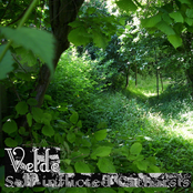 Self-Inflicted Catharsis