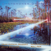 Okefenokee Dreams 2001