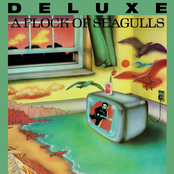 A Flock of Seagulls: A Flock of Seagulls (Deluxe)
