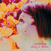 Staring to the Sun - EP