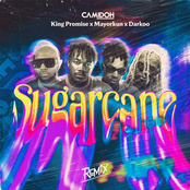 Sugarcane (Remix) [feat. King Promise, Mayorkun & Darkoo]