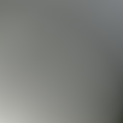 late 25/jan 26 Collection