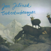 Palmen Aus Leder by Jan Jelinek