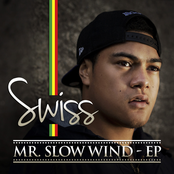Mr Slow Wind