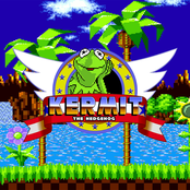 Kermit the Hedgehog