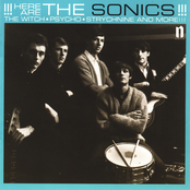 Walkin' The Dog by The Sonics