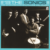 The Witch by The Sonics