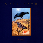 Last Letter Home by Colcannon