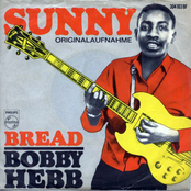 I Am Your Man by Bobby Hebb