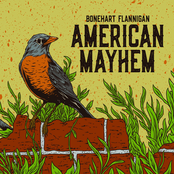 Bonehart Flannigan: American Mayhem