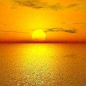 Nature on Silent Wings