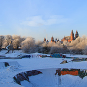 A Dog Is For Life, Not Just For Christmas