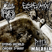 Dying World Order 3-Way