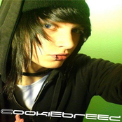 Cookiebreed