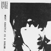 What Exaclty Is A Dream.....