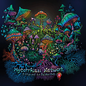 Mycorrhizal Network