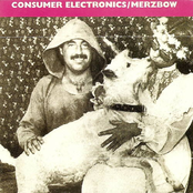 consumer electronics / merzbow