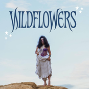 WILDFLOWERS