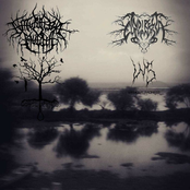 Catalepsia/Naturaleza Muerta/Without Sadness/Indirect Euthanasia