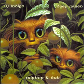 Chillout, Volume 4: Deep Green