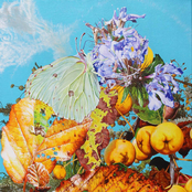 I Saw A Star Behind Your Eyes, Don't Let It Die Away