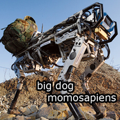 The Big Dog Demotape