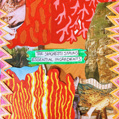 Essential Ingredients