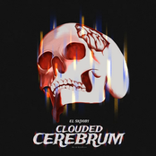Clouded Cerebrum
