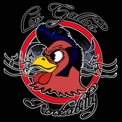 los gallos rockabilly