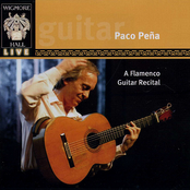 a flamenco guitar recital