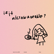 Is It Microwaveable?