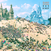 Fleet Foxes: Sun Giant