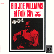 Just Want To Be Your Man by Big Joe Williams