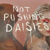 Not Pushing Daisies Album Picture