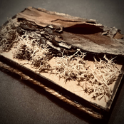 Transitory Tape Collection Vol. 1