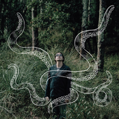 The Dangerous Beauties