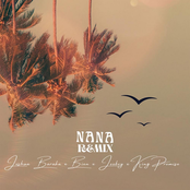 NANA (feat. Joeboy, King Promise & BIEN) [Remix]