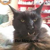 Det som inte blev nåt