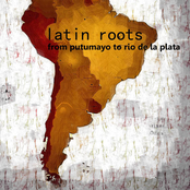 Latin Roots: The Best (From Putumayo to Rio de la Plata)