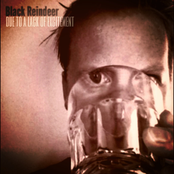 Due to a lack of excitement