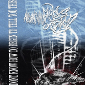 I Don't Know How To Begin To Tell You This