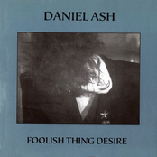 Foolish Thing Desire (Bonus Track Version)