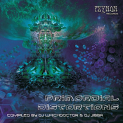 Primordial Distortions