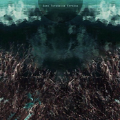 Dark Turquoise Expanse