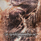 Release of Pain - EP