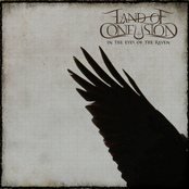 In The Eyes Of The Raven